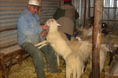 Azienda di famiglia